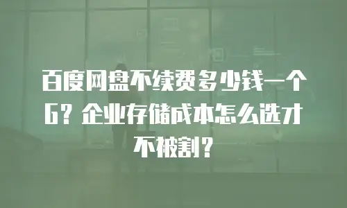 百度网盘不续费多少钱一个G？企业存储成本怎么选才不被割？