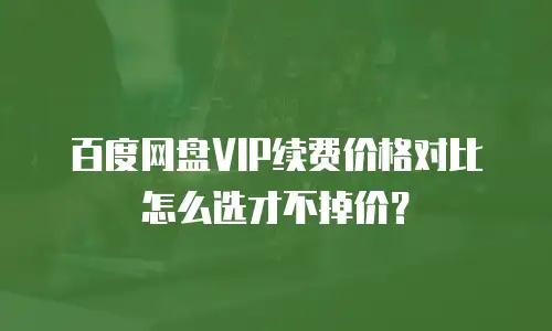 百度网盘VIP续费价格对比怎么选才不掉价？