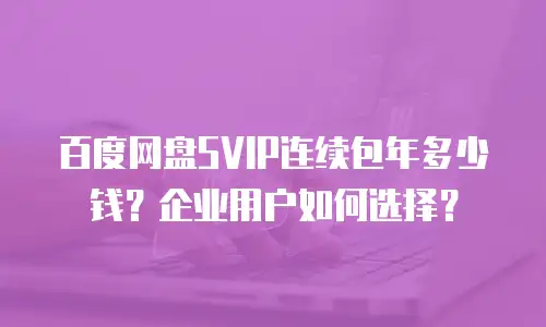 百度网盘SVIP连续包年多少钱？企业用户如何选择？