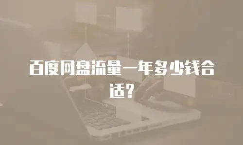 百度网盘流量一年多少钱合适？
