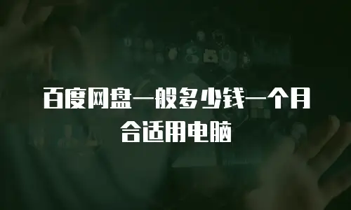 百度网盘一般多少钱一个月合适用电脑