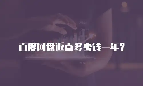 百度网盘返点多少钱一年？