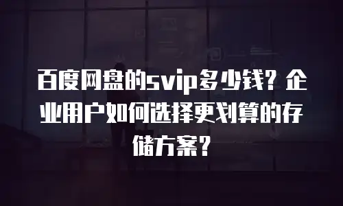 百度网盘的svip多少钱？企业用户如何选择更划算的存储方案？