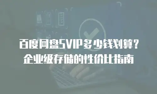 百度网盘SVIP多少钱划算？企业级存储的性价比指南