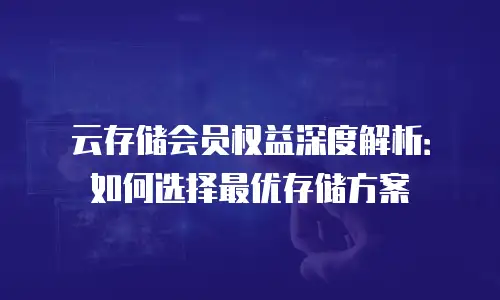 云存储会员权益深度解析：如何选择最优存储方案