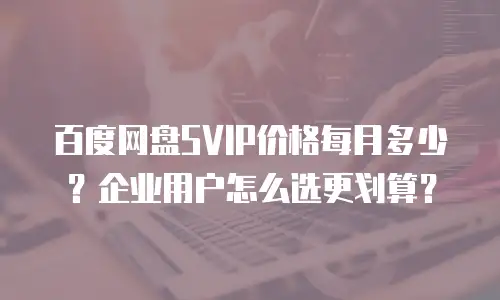 百度网盘SVIP价格每月多少？企业用户怎么选更划算？