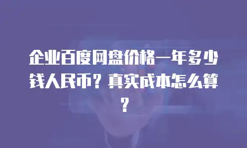 企业百度网盘价格一年多少钱人民币？真实成本怎么算？