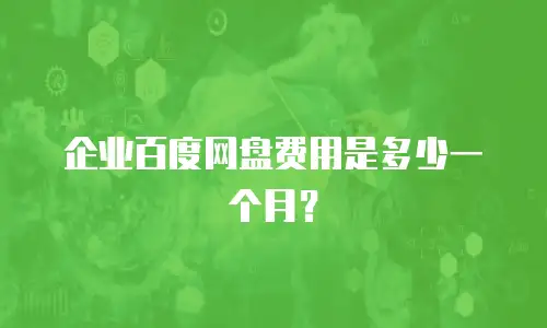 企业百度网盘费用是多少一个月？