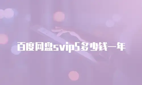 百度网盘svip5多少钱一年