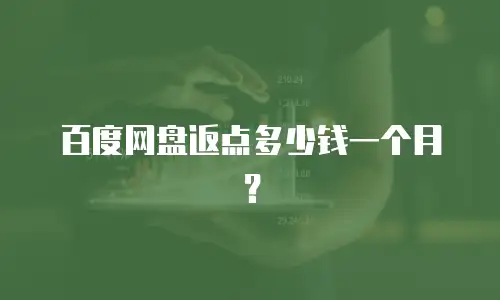 百度网盘返点多少钱一个月？