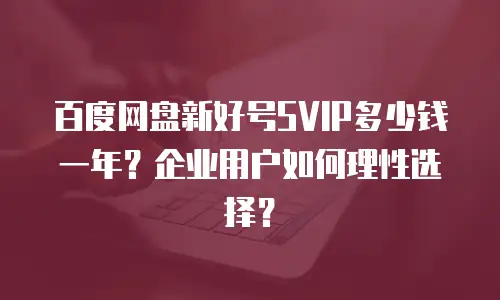 百度网盘新好号SVIP多少钱一年？企业用户如何理性选择？
