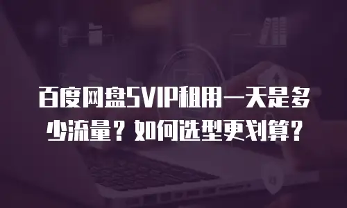 百度网盘SVIP租用一天是多少流量？如何选型更划算？
