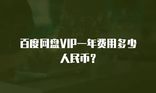 百度网盘VIP一年费用多少人民币？