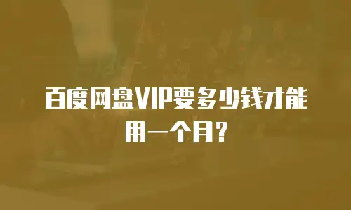 百度网盘VIP要多少钱才能用一个月？