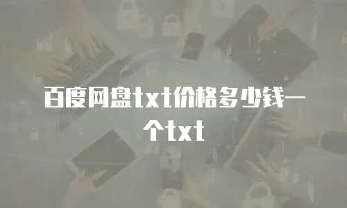 百度网盘txt价格多少钱一个txt