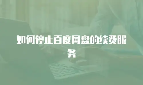如何停止百度网盘的续费服务