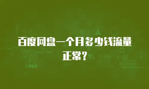 百度网盘一个月多少钱流量正常？