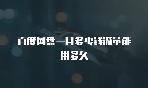 百度网盘一月多少钱流量能用多久