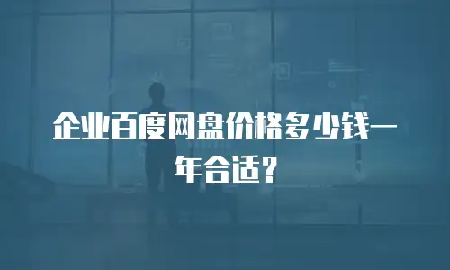 企业百度网盘价格多少钱一年合适？