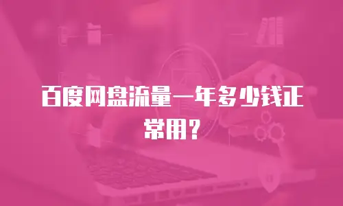 百度网盘流量一年多少钱正常用？