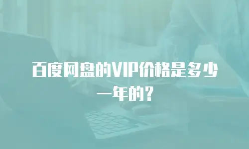 百度网盘的VIP价格是多少一年的？
