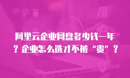 阿里云企业网盘多少钱一年？企业怎么选才不被&ldquo;贵&rdquo;？
