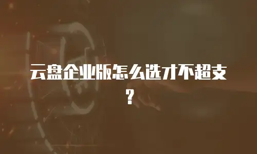云盘企业版怎么选才不超支？