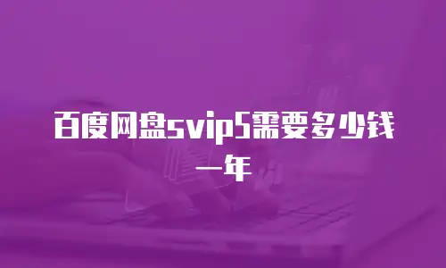 百度网盘svip5需要多少钱一年