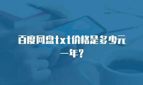百度网盘txt价格是多少元一年？
