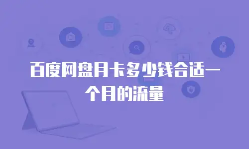 百度网盘月卡多少钱合适一个月的流量