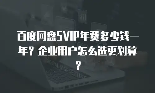 百度网盘SVIP年费多少钱一年？企业用户怎么选更划算？