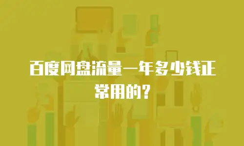 百度网盘流量一年多少钱正常用的？