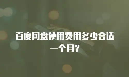 百度网盘使用费用多少合适一个月？