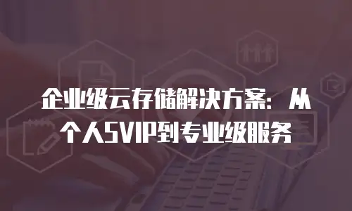 企业级云存储解决方案：从个人SVIP到专业级服务