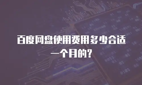 百度网盘使用费用多少合适一个月的？