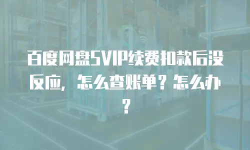 百度网盘SVIP续费扣款后没反应，怎么查账单？怎么办？