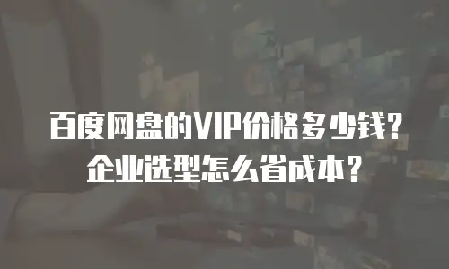 百度网盘的VIP价格多少钱？企业选型怎么省成本？