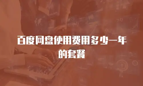 百度网盘使用费用多少一年的套餐