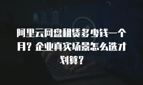阿里云网盘租赁多少钱一个月？企业真实场景怎么选才划算？
