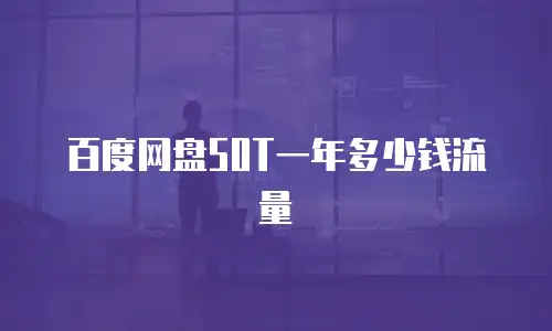 百度网盘50T一年多少钱流量