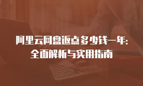 阿里云网盘返点多少钱一年：全面解析与实用指南