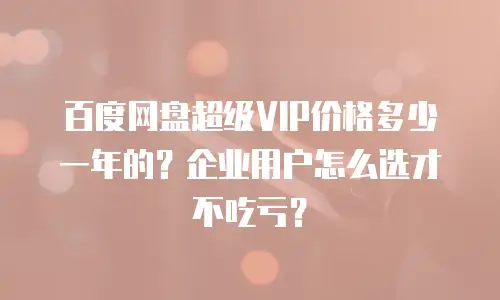 百度网盘超级VIP价格多少一年的？企业用户怎么选才不吃亏？