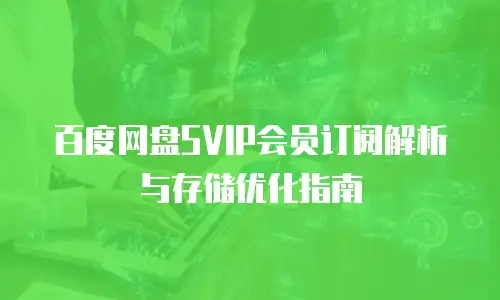 百度网盘SVIP会员订阅解析与存储优化指南