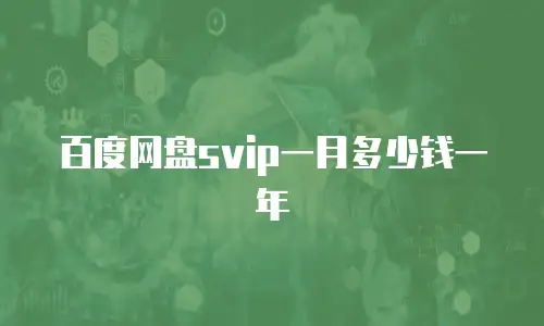 百度网盘svip一月多少钱一年