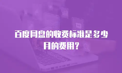 百度网盘的收费标准是多少月的费用？