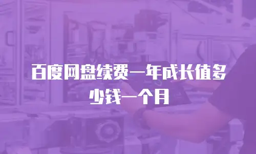 百度网盘续费一年成长值多少钱一个月