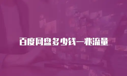 百度网盘多少钱一兆流量