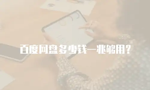 百度网盘多少钱一兆够用？
