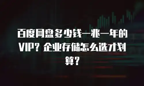 百度网盘多少钱一兆一年的VIP？企业存储怎么选才划算？