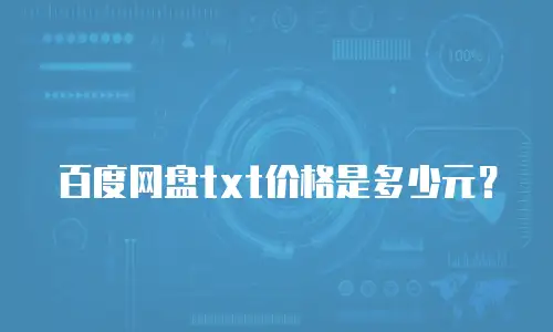百度网盘txt价格是多少元？